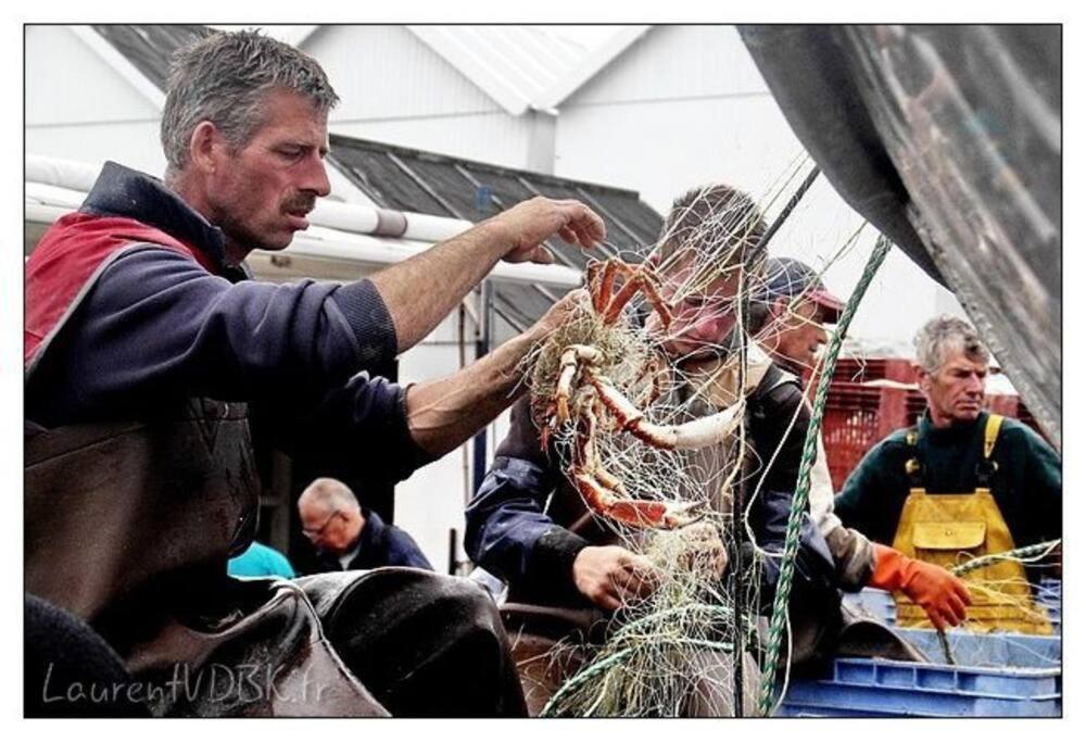 Superbe Propriete Bord De Mer - Le Clos Ricarda Sainte-Marguerite  Bagian luar foto