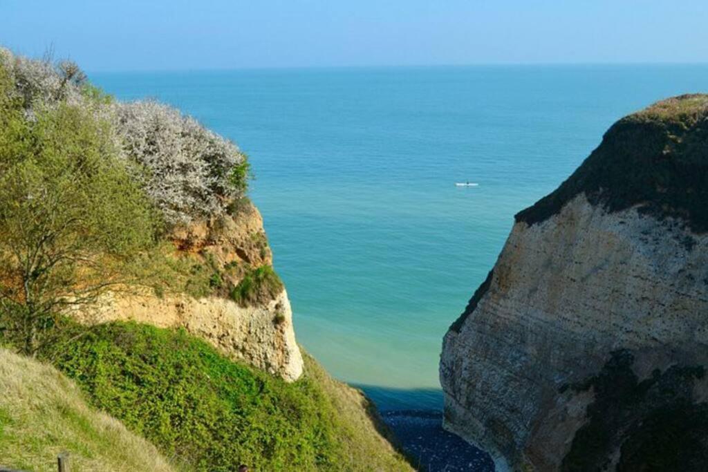 Superbe Propriete Bord De Mer - Le Clos Ricarda Sainte-Marguerite  Bagian luar foto